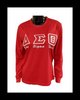 DST Embroidered LS Shirt