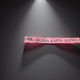 AKA Purse Strap