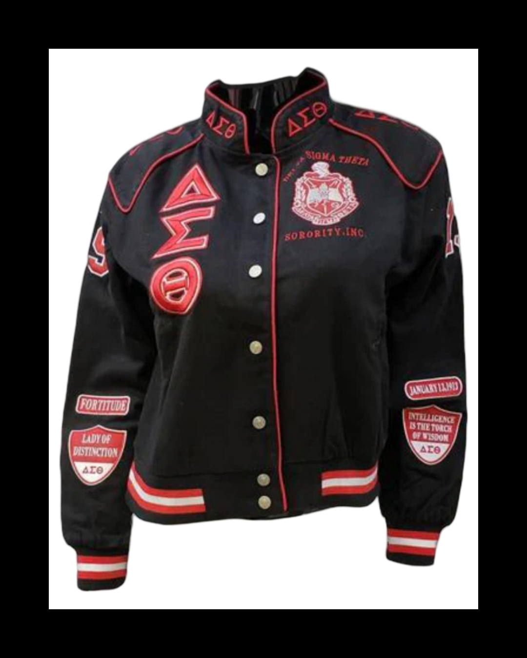 Dsrl Racing Jacket DST Racing Jacket – Ravenunlimited