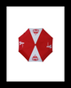 DST Umbrella- Reversible